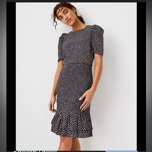Ann Taylor animal print dress. Navy size 4